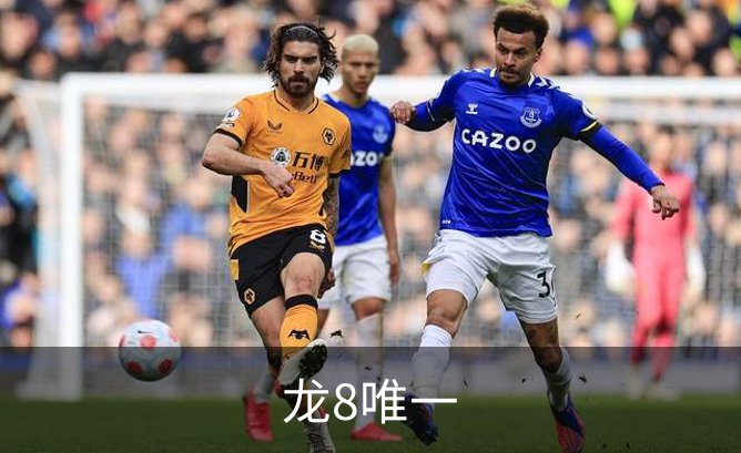 龙8唯一简介